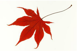 短信群發(fā)平臺到底安全嗎？