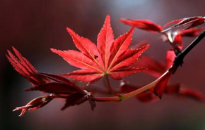 企業(yè)選擇短信營銷平臺的好處